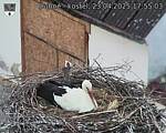 Capi_Dubne_20250423_175503.jpg