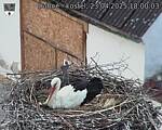 Capi_Dubne_20250423_180003.jpg