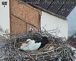 Capi_Dubne_20250423_180504.jpg