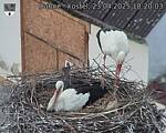 Capi_Dubne_20250423_182003.jpg
