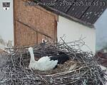 Capi_Dubne_20250423_183004.jpg