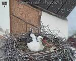 Capi_Dubne_20250423_184002.jpg