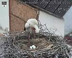 Capi_Dubne_20250423_185502.jpg