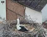 Capi_Dubne_20250423_190002.jpg