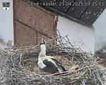 Capi_Dubne_20250423_190503.jpg
