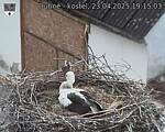 Capi_Dubne_20250423_191503.jpg