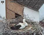 Capi_Dubne_20250423_194002.jpg