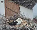 Capi_Dubne_20250423_194503.jpg