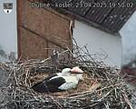 Capi_Dubne_20250423_195002.jpg