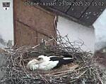 Capi_Dubne_20250423_201502.jpg