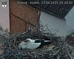 Capi_Dubne_20250423_202002.jpg