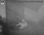 Capi_Dubne_20250423_203503.jpg