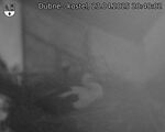Capi_Dubne_20250423_204002.jpg