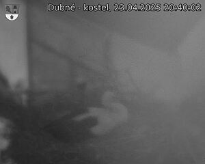 Capi_Dubne_20250423_204002.jpg (1350 x 1080)