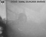 Capi_Dubne_20250423_205002.jpg