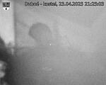Capi_Dubne_20250423_212503.jpg