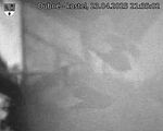 Capi_Dubne_20250423_213502.jpg