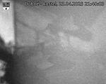 Capi_Dubne_20250423_214003.jpg