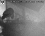 Capi_Dubne_20250423_221002.jpg