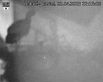 Capi_Dubne_20250423_221503.jpg