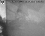 Capi_Dubne_20250423_222002.jpg