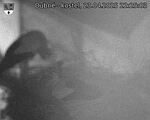 Capi_Dubne_20250423_222503.jpg