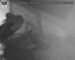 Capi_Dubne_20250423_223002.jpg