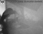Capi_Dubne_20250423_224002.jpg