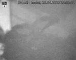 Capi_Dubne_20250423_225502.jpg