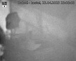 Capi_Dubne_20250423_230503.jpg
