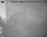 Capi_Dubne_20250423_231002.jpg