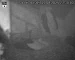 Capi_Dubne_20250423_233003.jpg
