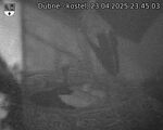 Capi_Dubne_20250423_234503.jpg