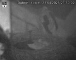 Capi_Dubne_20250423_235002.jpg
