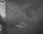 Capi_Dubne_20250423_235503.jpg