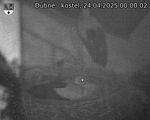 Capi_Dubne_20250424_000002.jpg