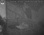 Capi_Dubne_20250424_000502.jpg