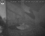 Capi_Dubne_20250424_001003.jpg