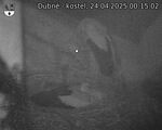 Capi_Dubne_20250424_001502.jpg