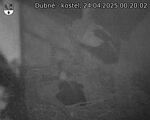 Capi_Dubne_20250424_002002.jpg