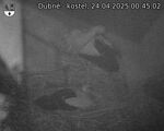 Capi_Dubne_20250424_004502.jpg