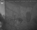 Capi_Dubne_20250424_005503.jpg