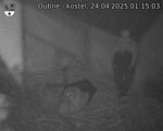 Capi_Dubne_20250424_011503.jpg