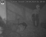 Capi_Dubne_20250424_012003.jpg