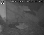 Capi_Dubne_20250424_014002.jpg