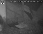 Capi_Dubne_20250424_014503.jpg