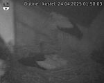 Capi_Dubne_20250424_015003.jpg