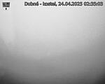 Capi_Dubne_20250424_023503.jpg