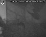 Capi_Dubne_20250424_033502.jpg