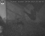Capi_Dubne_20250424_034003.jpg